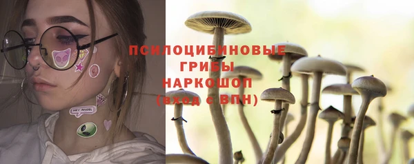 jwh Михайлов