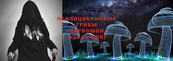 молекула духа Щёлкино