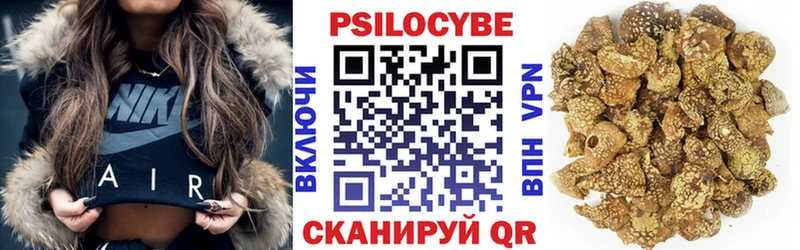 Псилоцибиновые грибы Psilocybine cubensis  дарнет шоп  hydra ONION  Новокузнецк 