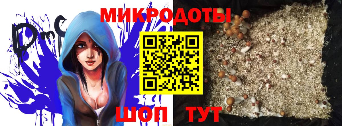 Галлюциногенные грибы мицелий Новокузнецк