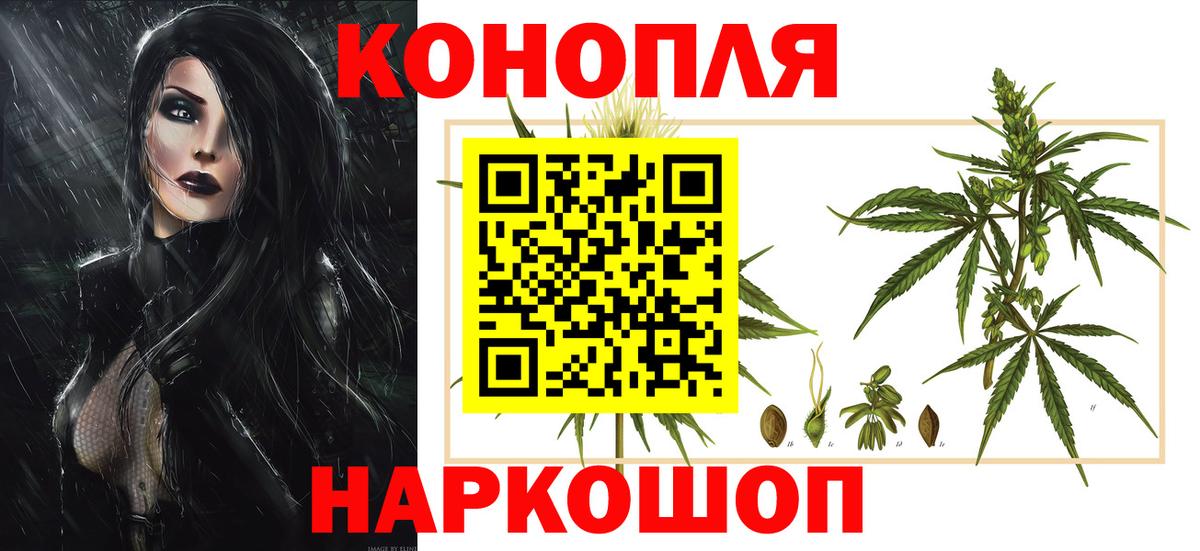 Бошки марихуана семена Новокузнецк